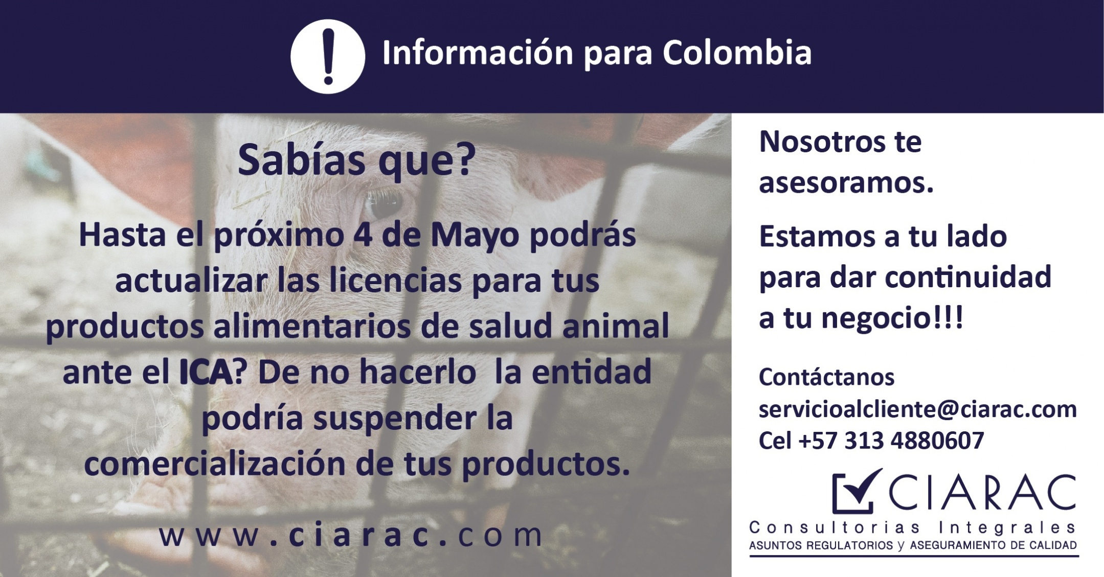 gallery/Pieza Ciarac Abril 23 ok-01