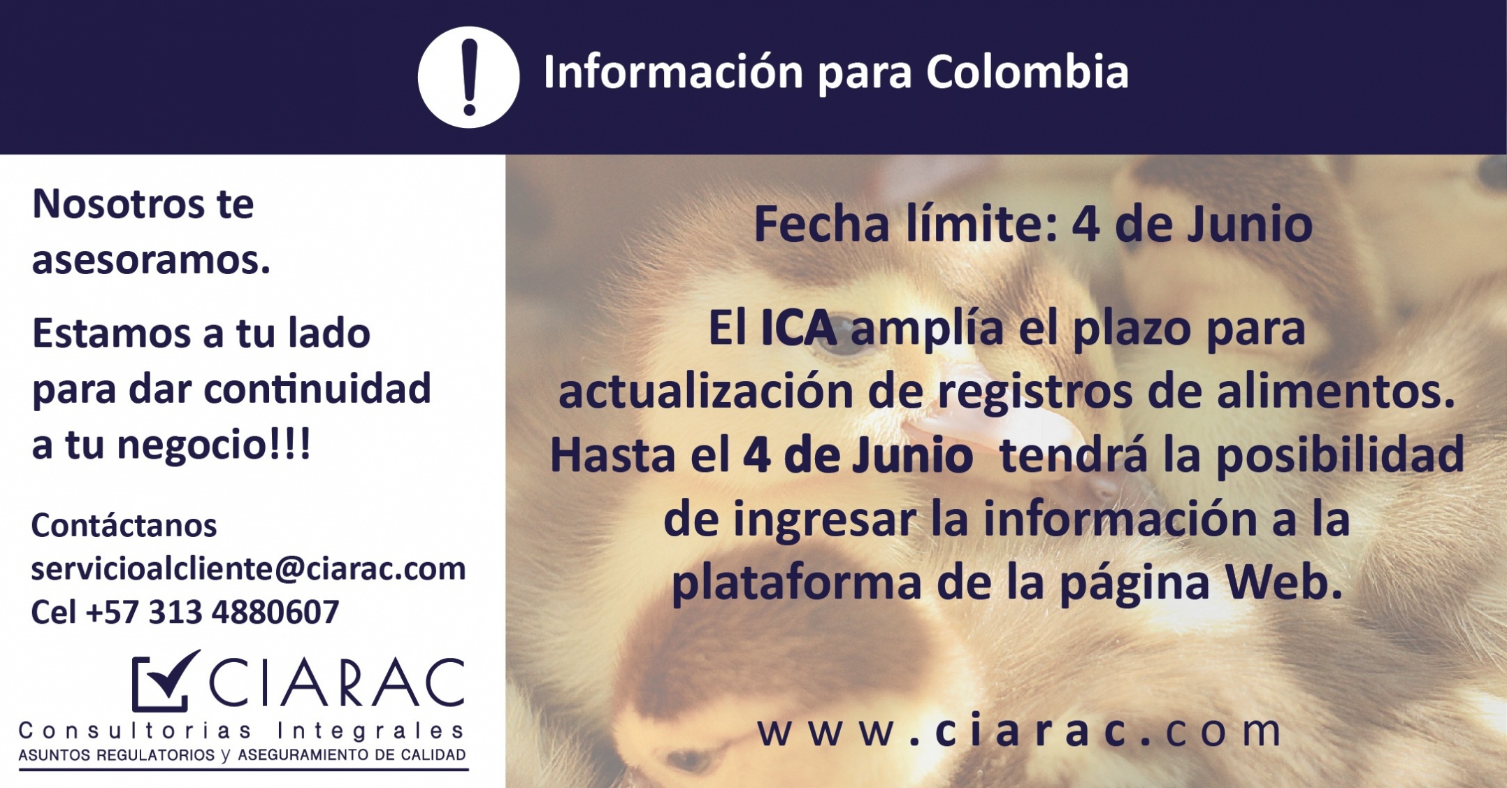 gallery/Pieza Ciarac Mayo 2-02